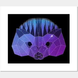 Galaxy Hedgehog Posters and Art